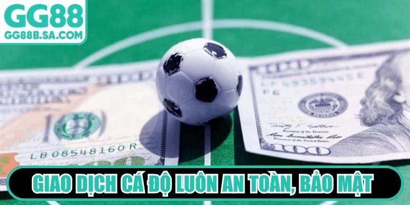 Giao dịch c&aacute; độ lu&ocirc;n an to&agrave;n, bảo mật tuyệt đối tr&ecirc;n thiết bị