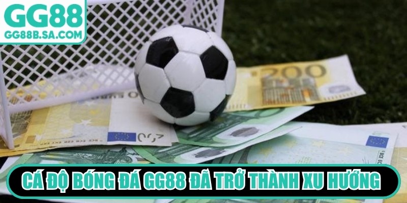 C&aacute; độ b&oacute;ng đ&aacute; GG88 đ&atilde; trở th&agrave;nh xu hướng cực kỳ quen thuộc