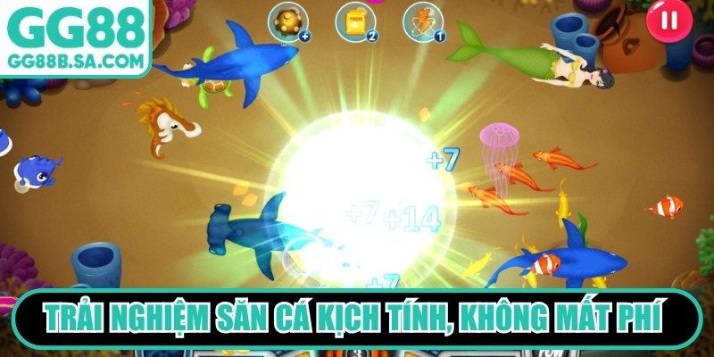 Trải nghiệm săn cá kịch tính, hoàn toàn không mất phí moi ngày
