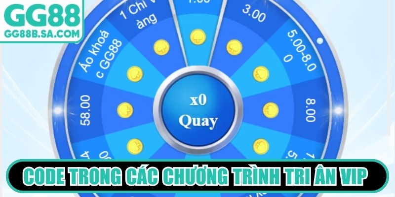 Code trong các chương trình tri ân VIP là quyền lợi độc quyền